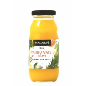 Juice of various fruits MAGNUM, 250 ml
